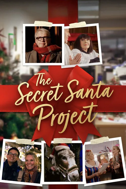 The Secret Santa Project海报