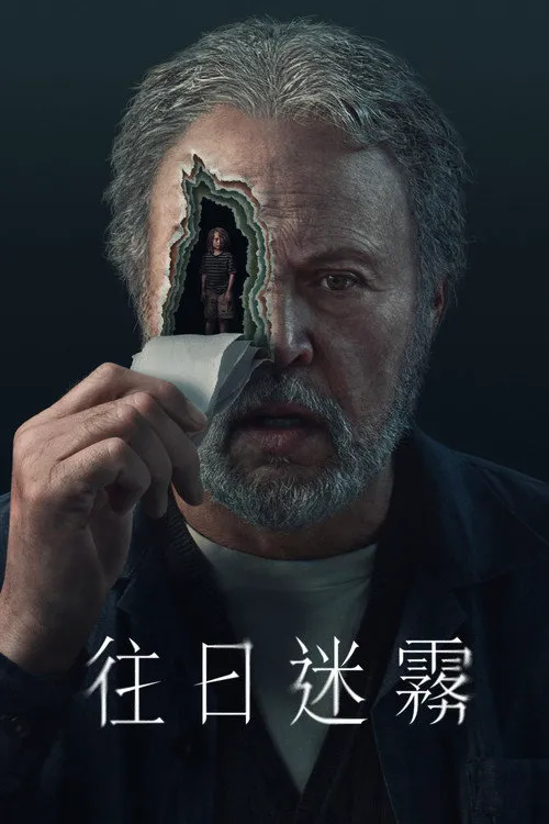 过去的事海报