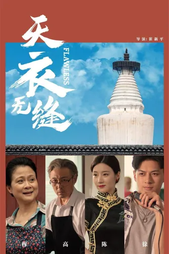 天衣无缝海报