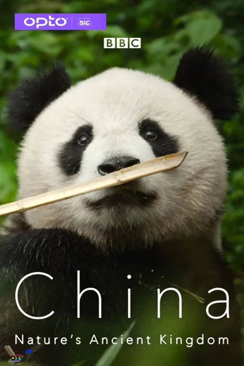 中国:大自然的古老王国 第 1 季海报