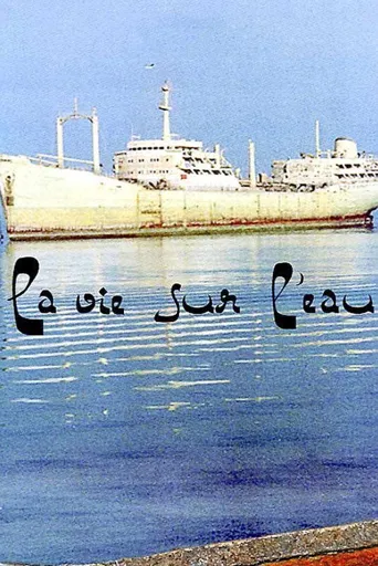 浮城记海报