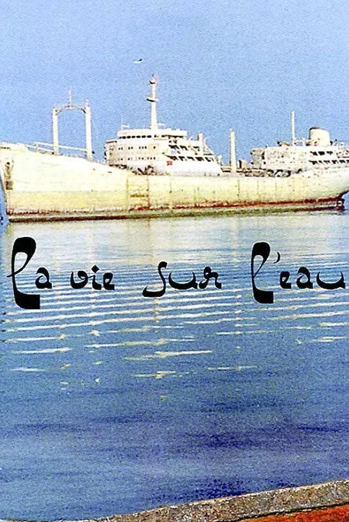 浮城记海报