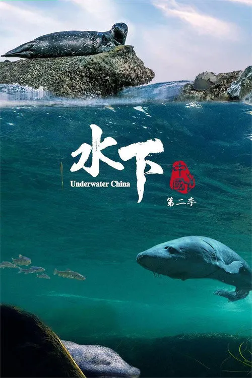 水下中国 第 2 季海报