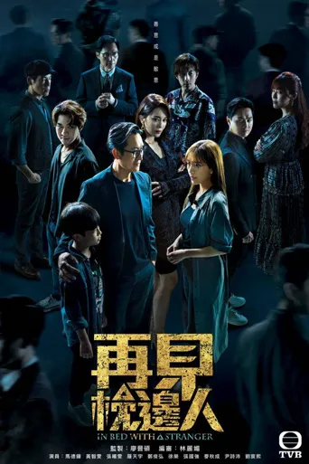 再见枕边人海报