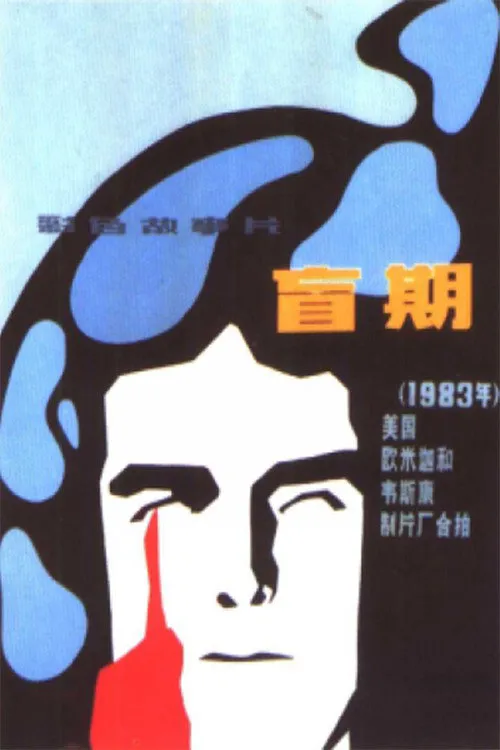 盲眼追凶海报