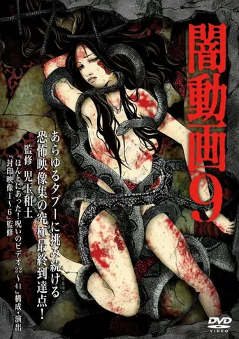 暗动画9海报