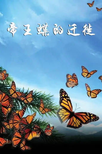 帝王蝶的迁徙海报