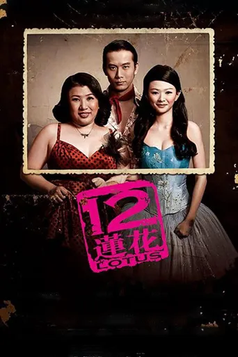 12莲花海报