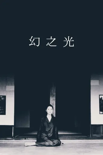 幻之光海报