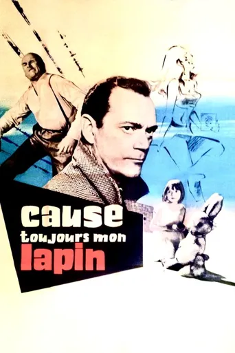 Cause toujours, mon lapin海报