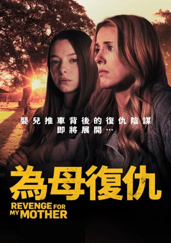 为母复仇海报