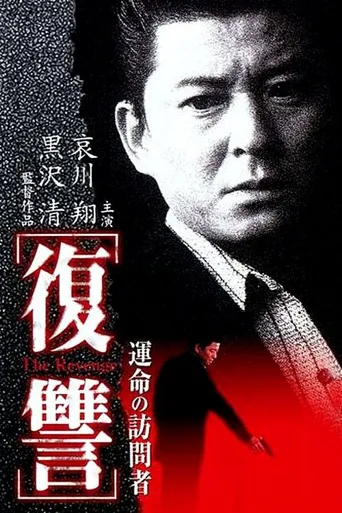 复仇：命运的访问者海报