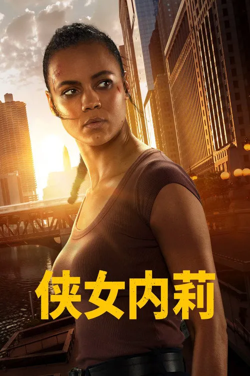 侠女内莉海报