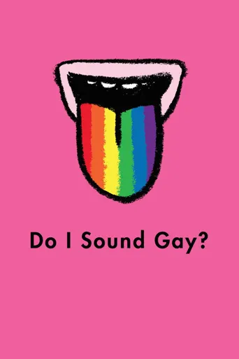 我听起来Gay吗？海报