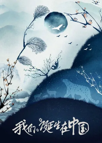 我们诞生在中国海报