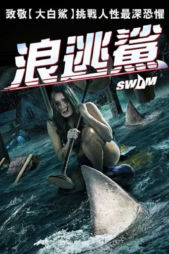 游泳海报