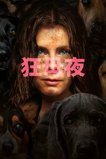 夜母海报