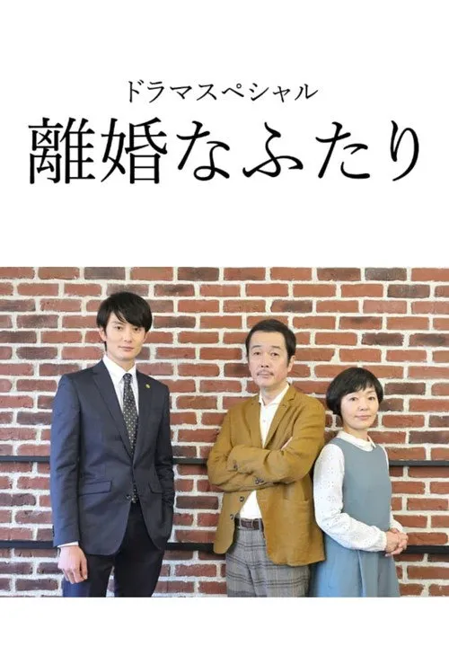 离婚的二人海报