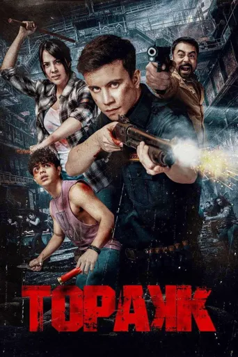 Topakk海报