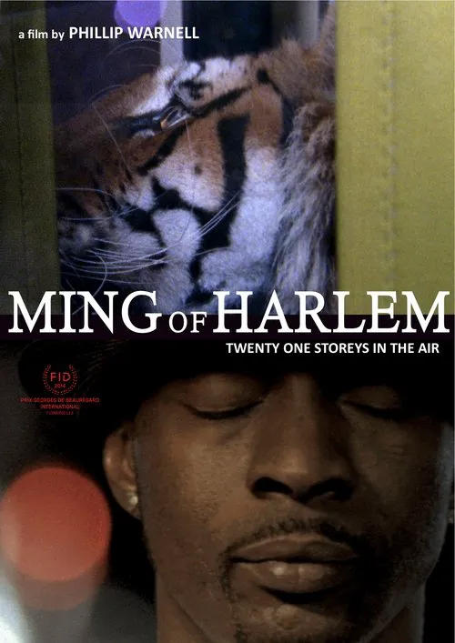 Ming of Harlem: Twenty One Storeys in the Air海报