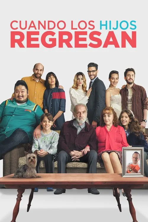Cuando los hijos regresan海报
