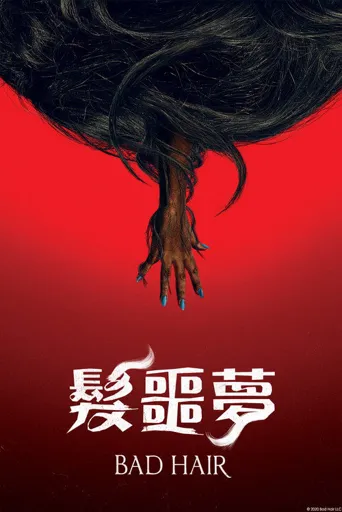 魔发海报