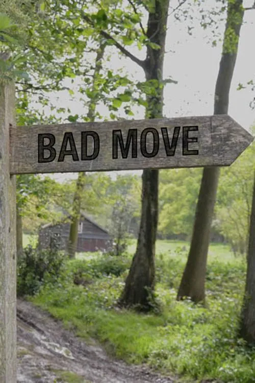 Bad Move 第 1 季海报