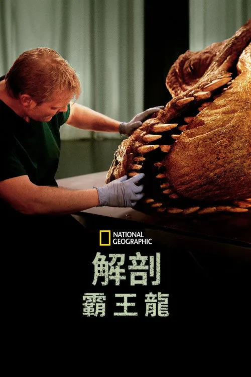 解剖霸王龙海报