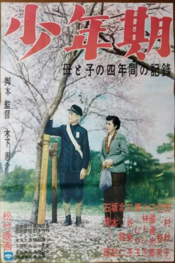 少年期海报