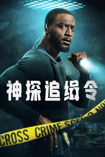 神探追缉令 第 2 季海报
