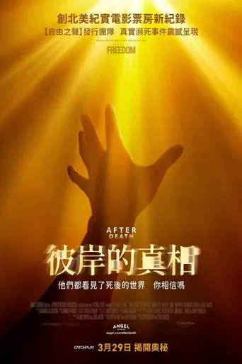 彼岸的真相海报