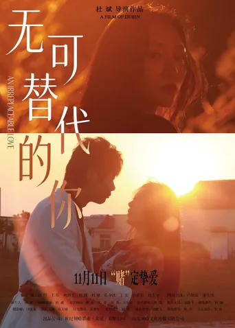 无可替代的你海报