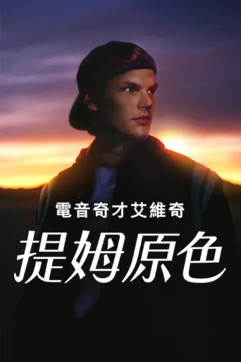 电音奇才艾维奇：蒂姆原色海报