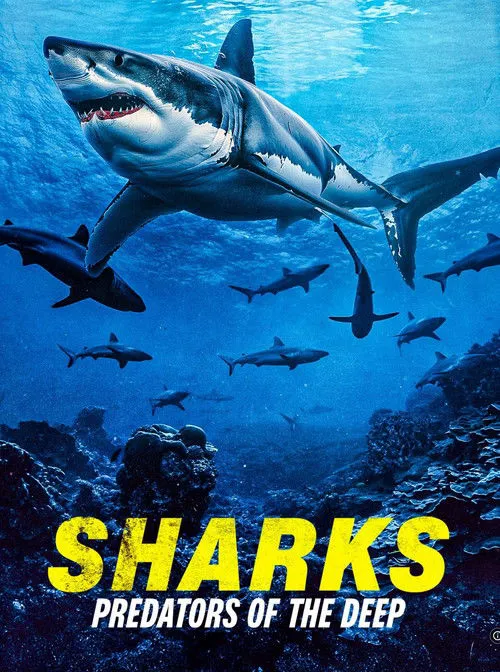 Sharks: Predators of the Deep海报