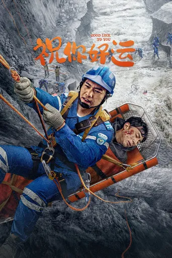 祝你好运海报