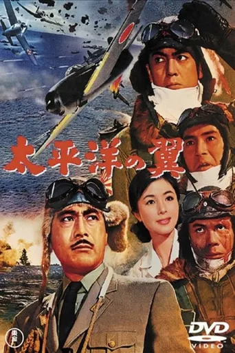 太平洋之翼海报