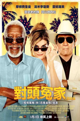 夕阳特工海报
