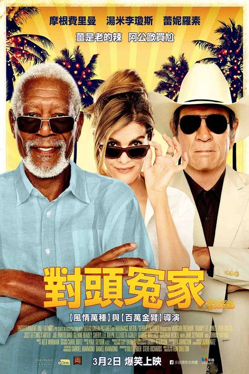 夕阳特工海报