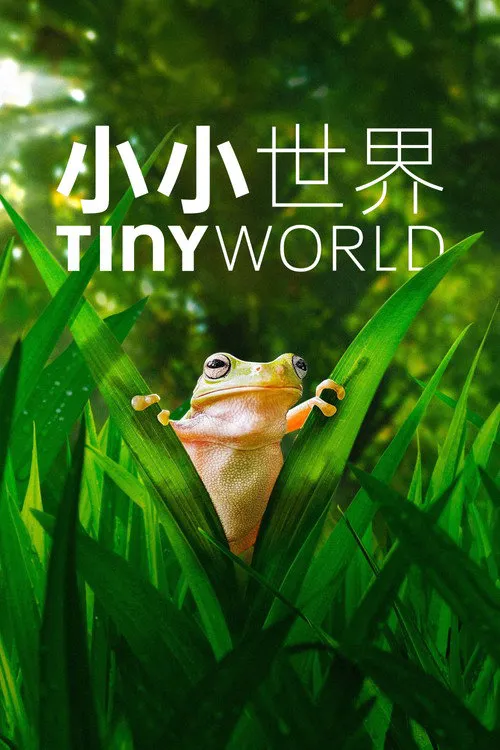 小小世界 第 2 季海报