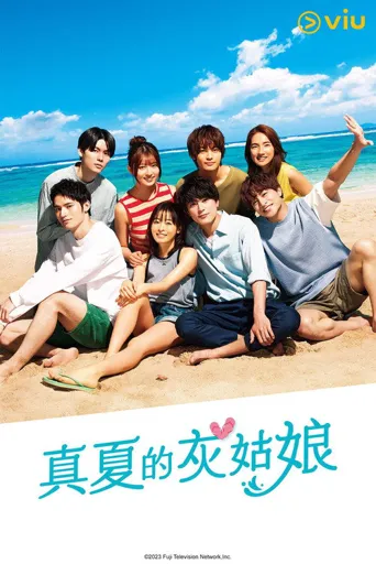 仲夏的灰姑娘海报