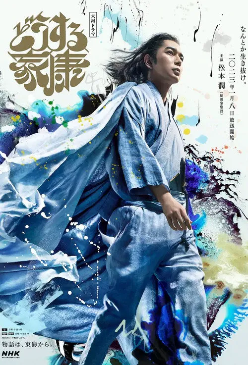 怎么办家康海报