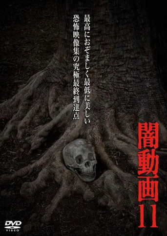 暗动画11海报