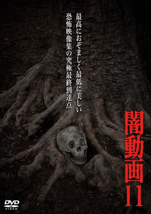 暗动画11海报