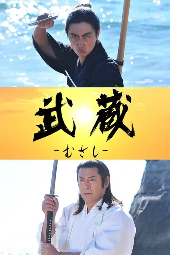 武藏海报