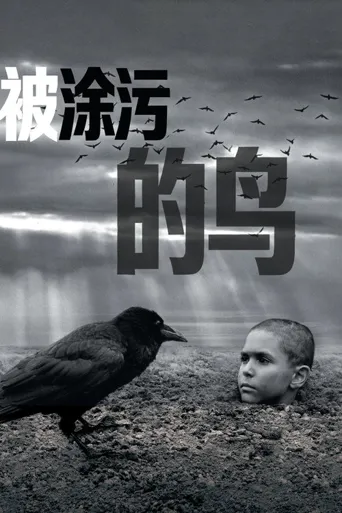 被涂污的鸟海报