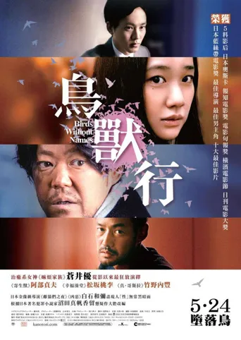 她不知道名字的那些鸟儿海报