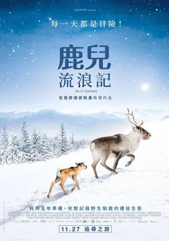 小鹿艾洛：极地的冒险史诗海报