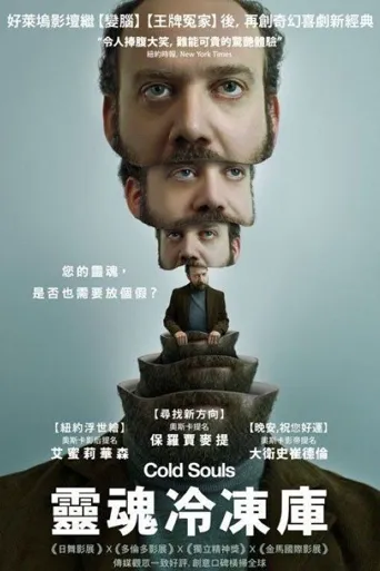冷冻灵魂海报