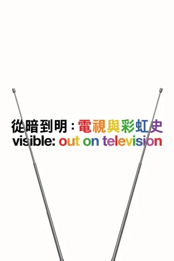 从暗到明：电视与彩虹史海报