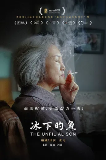 冰下的鱼海报